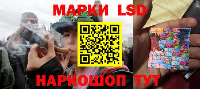 гидропоника Тара